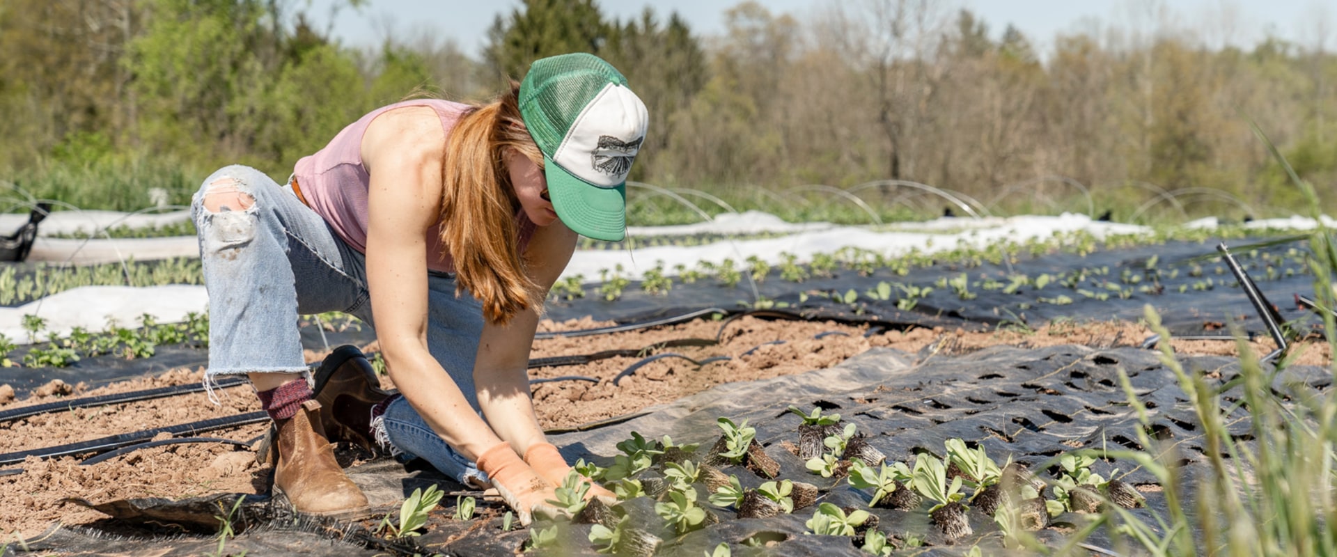 Sustainable Farming: Profit & Planet. Long-Term Success.