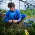 Sustainable Farming: The 4 R's for a Greener Future