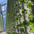 Sustainable Agriculture: A Crucial Step Towards a More Sustainable Future