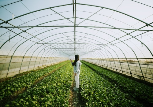 Sustainable Farming: A Path to a Greener Future