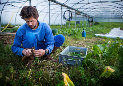 The Importance of Crop Diversity and Sustainable Farming Practices