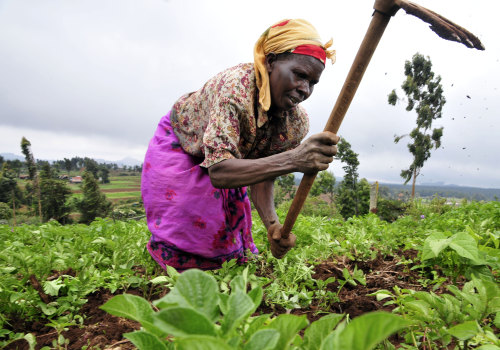 The Future of Farming: An Expert's Perspective